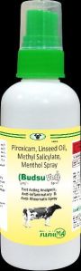 Piroxicam Linseed oil methyl salicylate menthol spray