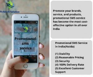 Promotional SMS Provider In India