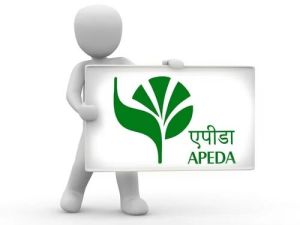 APEDA Registration Service