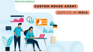 custom house agents