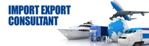 Export Import Consultant Service