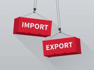 Export Import Data Service