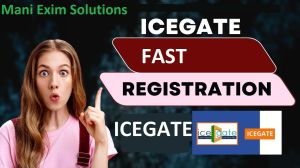 ICEGATE REGISTRATION SERVICES