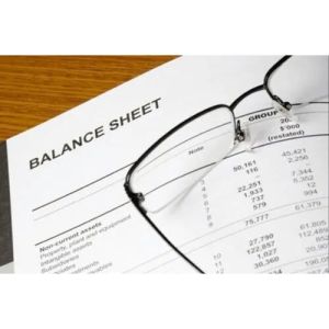 CA Certification Balance Sheet Service
