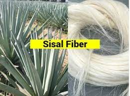 sisal fiber