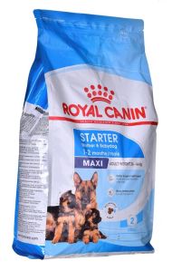 ROYAL CANIN SHN Maxi Starter Mother &amp;amp; Babydog