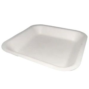 5 Inch Square Bagasse Plate
