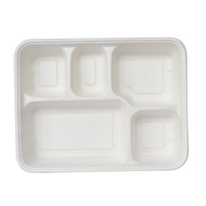 Bagasse Square Partition Plate