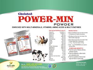 mineral mixer animal feed