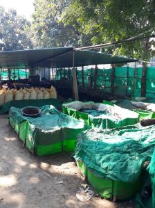 Vermicompost With Neem
