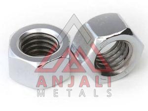 Stainless Steel Nuts