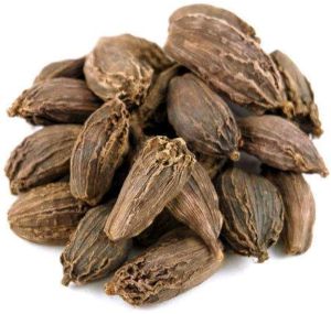 Black Cardamom