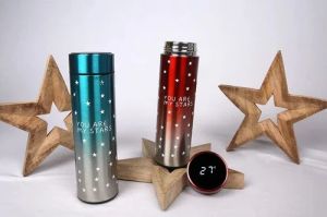 500ml Stainless Steel Insulated Water Bottle