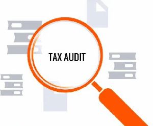 Taxation Audit Service
