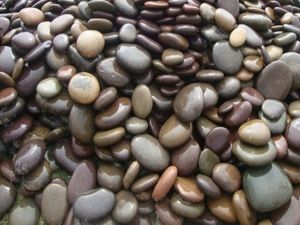 Polished River Pebble Stone