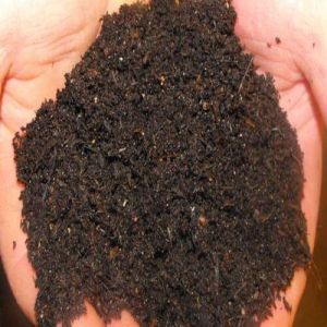 vermicompost