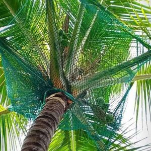 Coconut Catcher Net