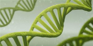 E. coli CRISPR-Cas9 genome editing