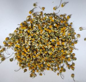 Dried Chamomile Flowers