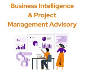 Project management advisory