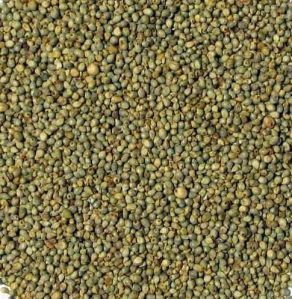 Green Millets