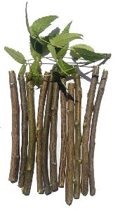 neem stick