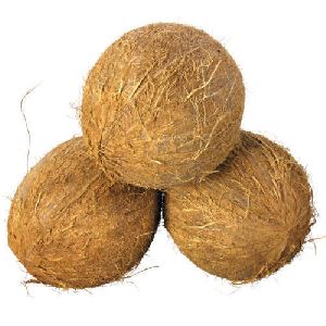 Brown Husked Coconut