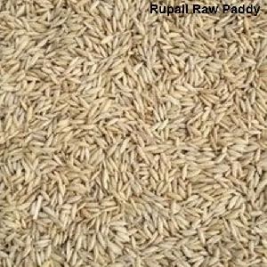 Rupali Paddy Rice