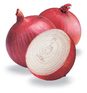 fresh onion