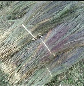 grass brooms