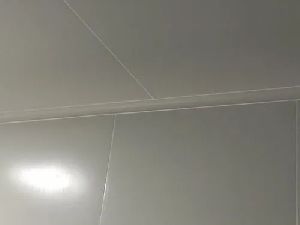 PUF Cleanroom Panel