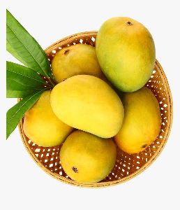 Yellow A Grade Mango, Carton, Packaging Size: 5 Kg