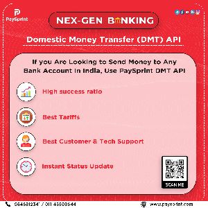 Domestic money Transfer API (DMT API)