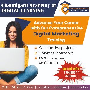 digital marketing training