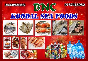 BNC koodal sea foods