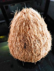 Semi-husked Coconut