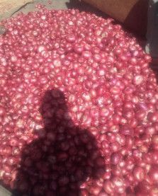 onions red and light and fruits