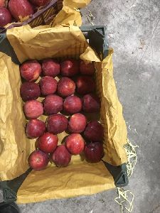 Red Delicious Apple-Iran