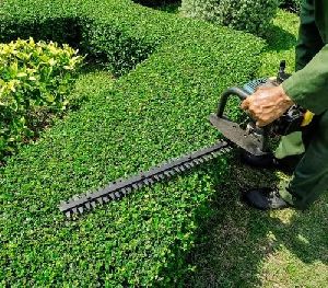 Low Maintenance Landscaping Services