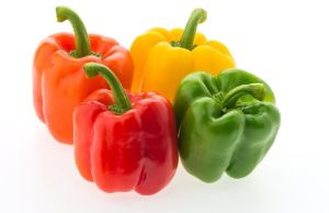 Fresh Bell Pepper