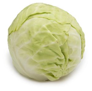 fresh cabbage