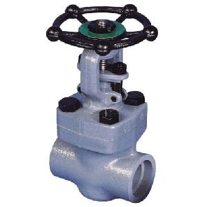 Forged Steel Gate Valve