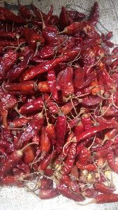 red chilli