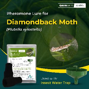 gaiagen diamondback moth pheromone lure