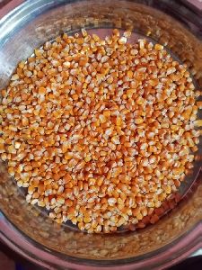 Yellow Corn Animal Feed