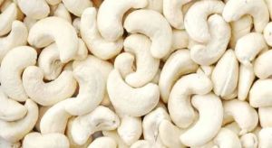 OWP Cashew Nuts