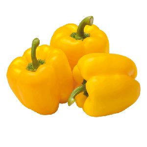 Fresh Yellow Capsicum