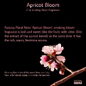 Apricot Bloom Fragrance