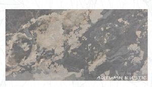 Autumn Rustic Slate Stone Veneer Sheet For Interior Exterior Wall Cladding