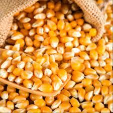 Yellow White Corn